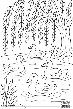Duck pond with a weeping willow