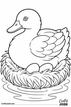 Duck sitting on a nest of eggs