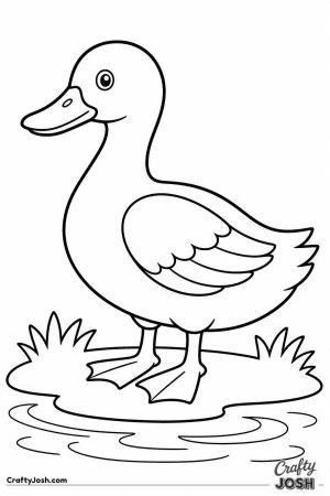 Duck standing side on on the grass