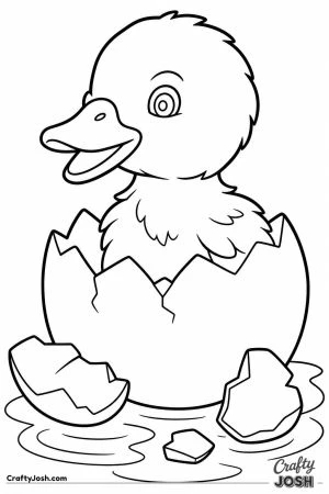 Duckling hatching from its egg