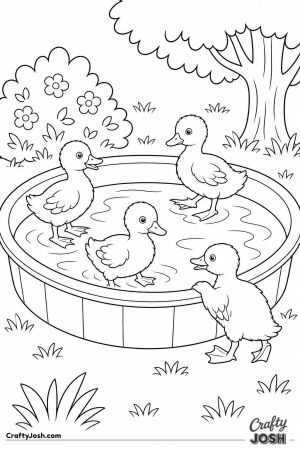 Ducklings in a kiddie pool