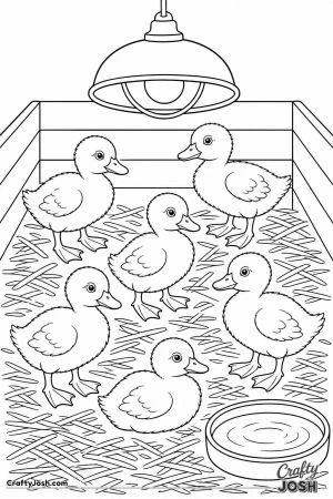 Ducklings under a heat lamp