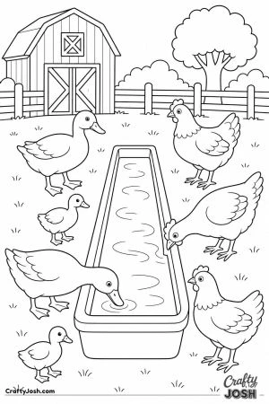 Ducks and hens at the water trough