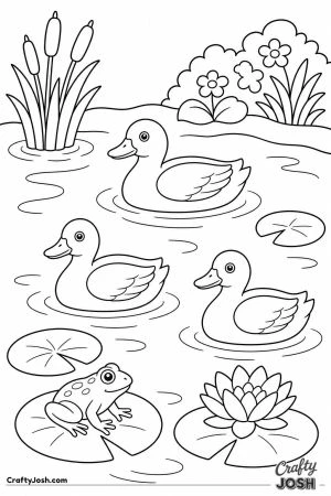 Ducks around a garden pond with lily pads