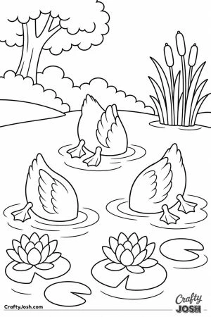 Ducks dabbling tails up in the pond
