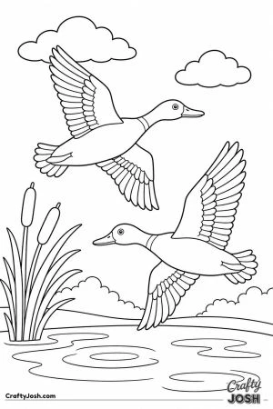Ducks flying over the pond