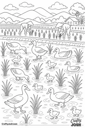 Ducks in a rice paddy