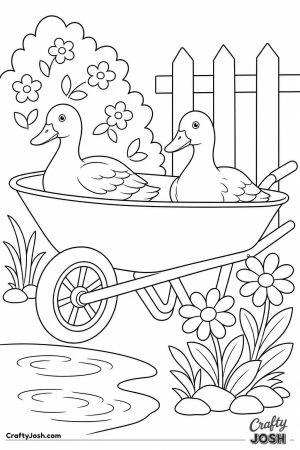 Ducks in a wheelbarrow