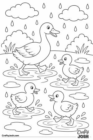 Ducks splashing in the rain