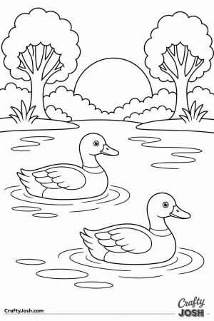 Ducks swimming at sunset