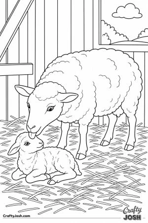 Ewe licking her newborn lamb