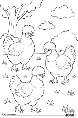 Fluffy silkies in the grass