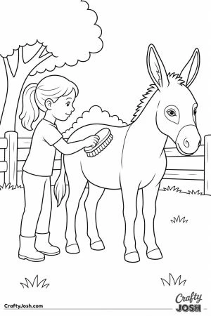 Girl brushing a donkey