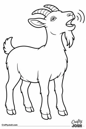 Goat bleating with its head up