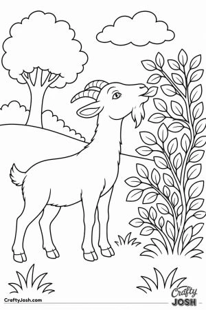 Goat browsing on a bush