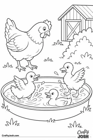 Hen raising a family of ducklings
