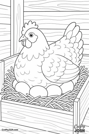 Hen sitting on eggs in a nest box