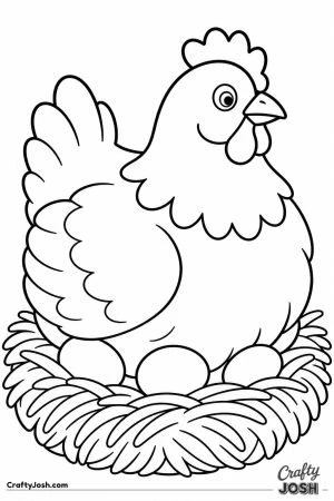 Hen sitting on her nest of eggs