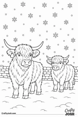 Highland cows standing in a snowy field