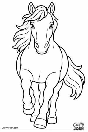 Horse galloping straight towards you