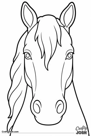 Horse head facing forward with a long forelock