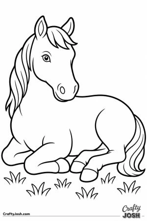 Horse lying down resting with its legs folded