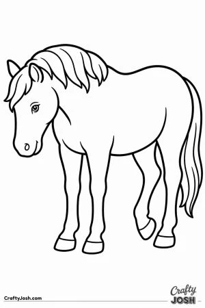 Horse resting one back hoof