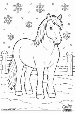 Horse with a thick winter coat in a snowy field