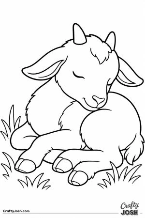Kid goat asleep curled up
