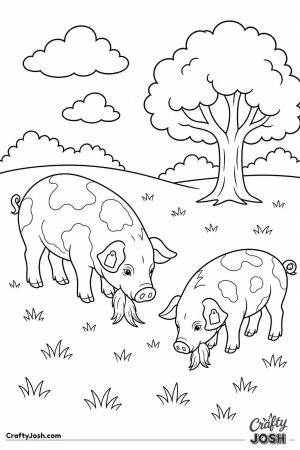 Kunekune pigs grazing in a meadow