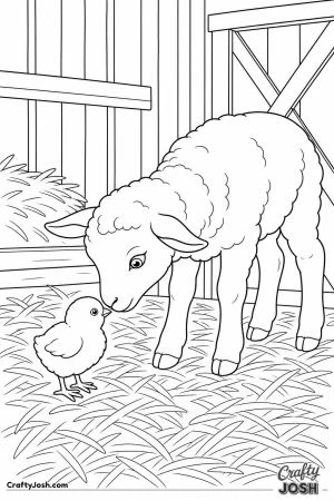 Lamb and a chick meeting in the barn