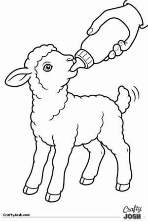 Lamb drinking from a bottle