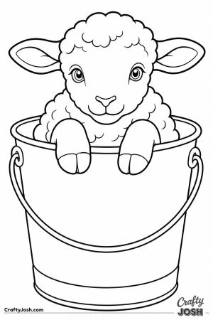 Lamb sitting in a little bucket