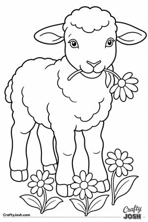 Lamb with a daisy in its mouth