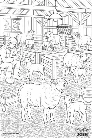 Lambing shed in spring