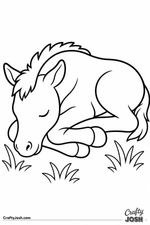 Little foal curled up asleep in the grass