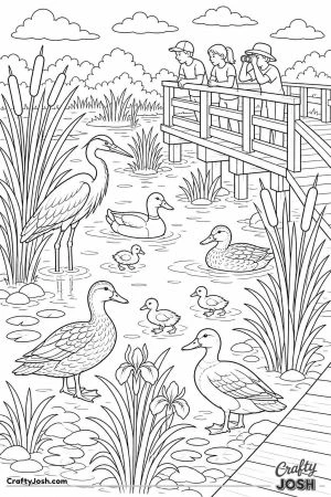 Marsh with ducks and other birds
