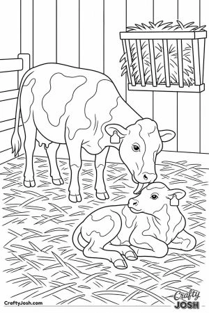 Mother cow licking her newborn calf