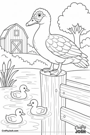 Muscovy duck on a fence post