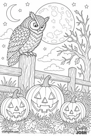 Owl on a fence post above glowing jack o lanterns