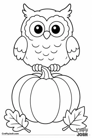 Owl perched on top of a pumpkin
