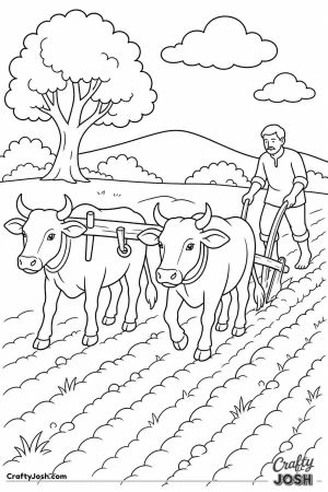 Oxen plowing a field