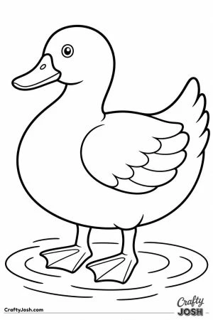 Pekin duck with a plump body