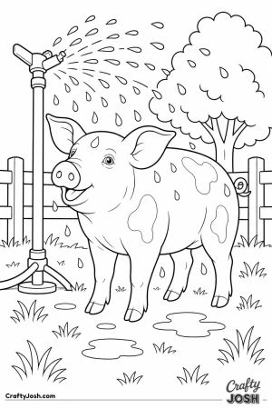 Pig cooling off under a sprinkler