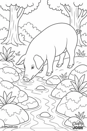 Pig drinking from a stream in the woods