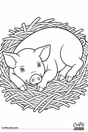 Pig lying in a straw nest