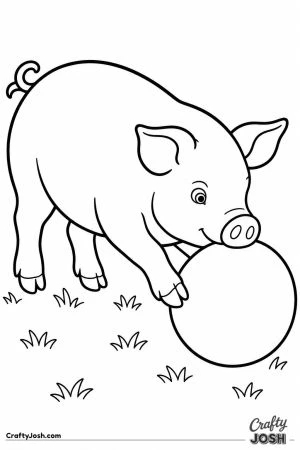 Pig nosing a big ball