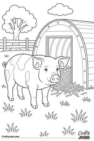 Pig outside a round pig ark in a field