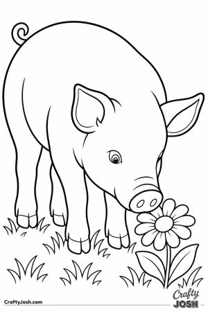 Pig sniffing a flower