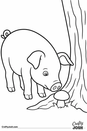 Pig sniffing out a mushroom